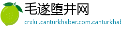 毛遂堕井网